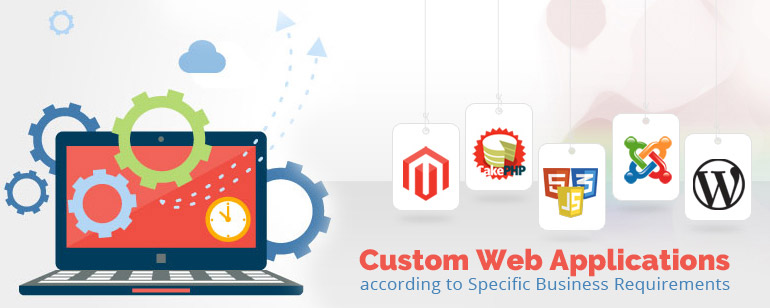 custom web application development